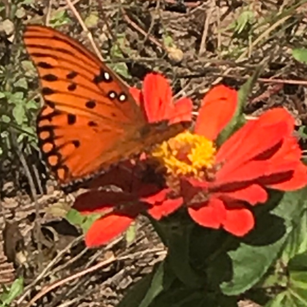 Meet your Posher, Angela